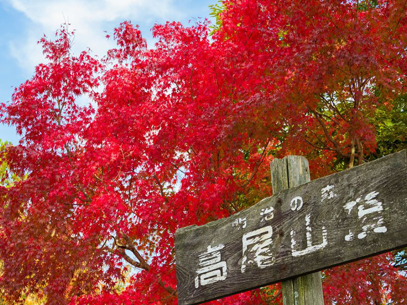 高尾山紅葉ハイキング - Japan