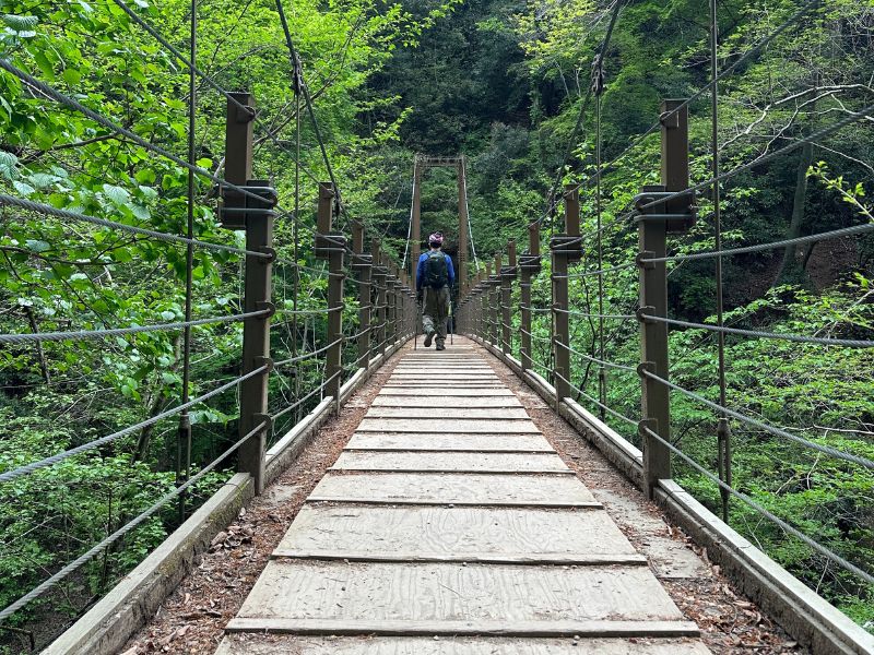 高尾山ハイキング - Japan