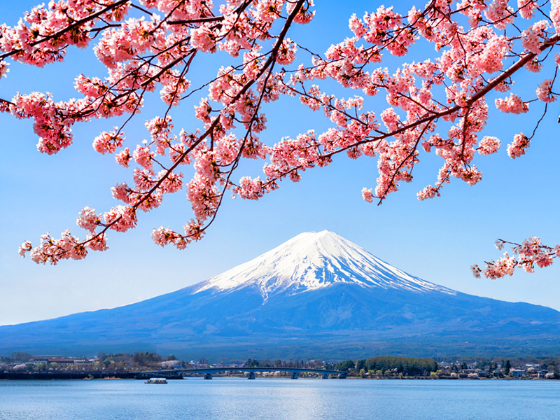 Fuji Lakes & Wineries - Japan