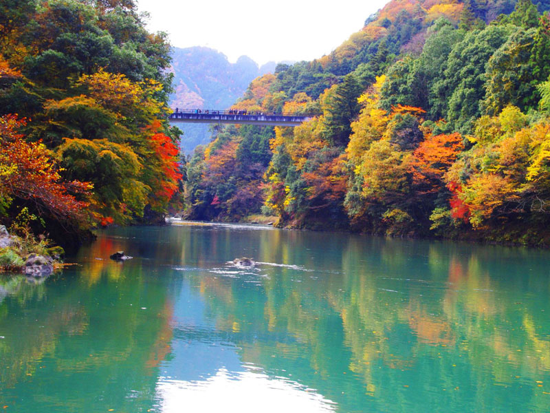 Autumn Kayaking - Japan