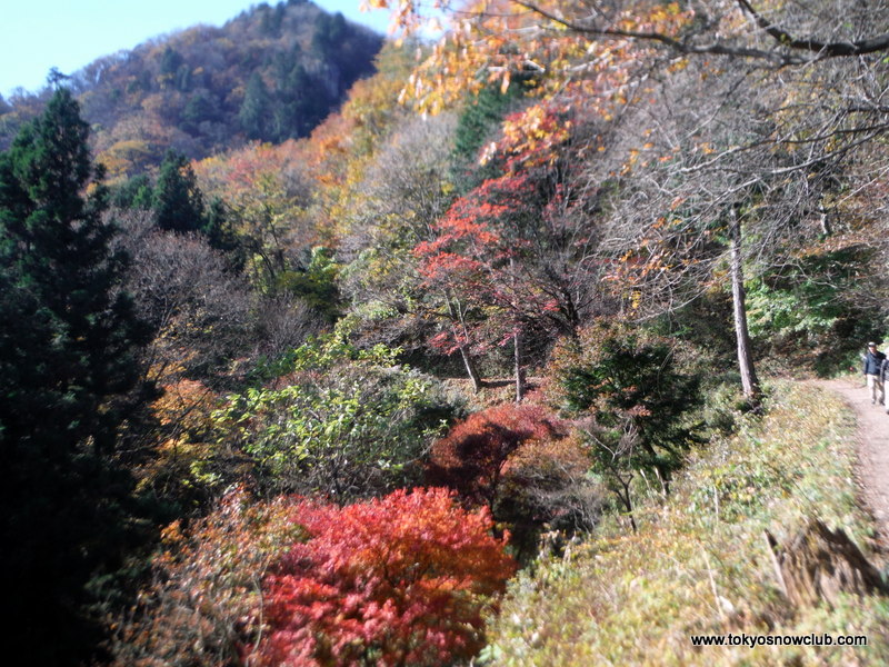 Mt Mitake Autumn Hike