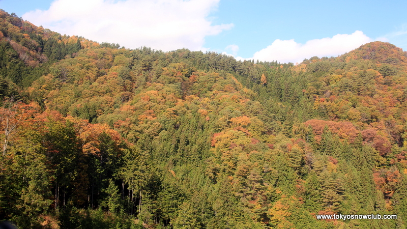 Shosenkyo Fall Colors Hike & Winery