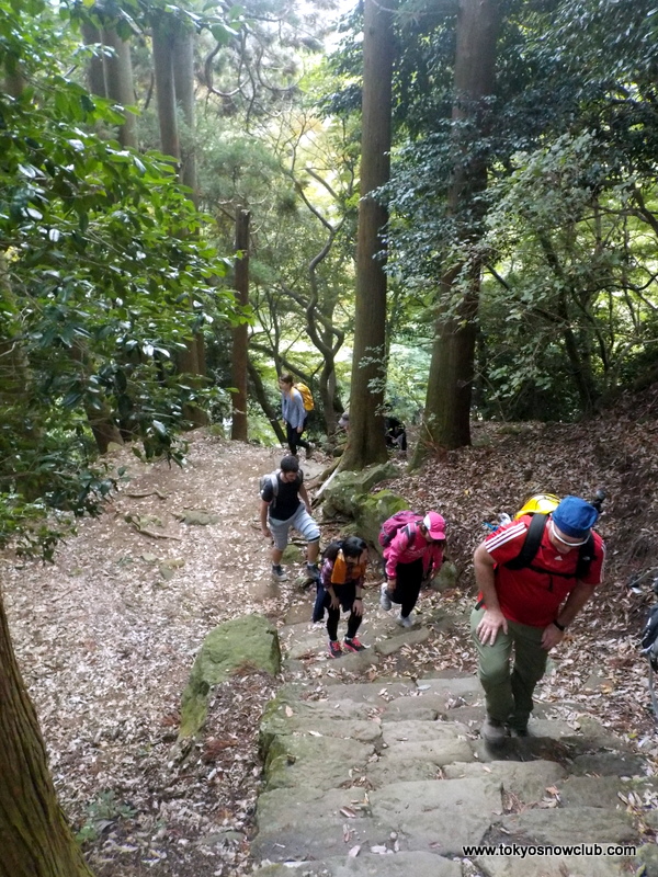 Mt Oyama Autumn Hike