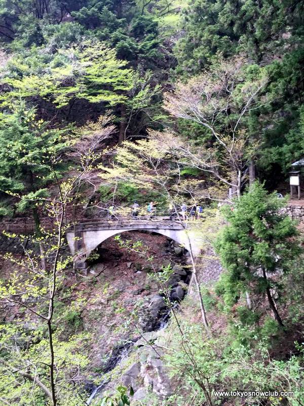 Mt Oyama Spring Hiking