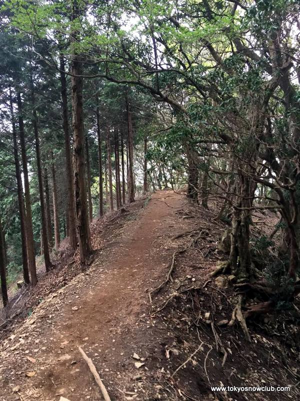 Mt Oyama Spring Hiking