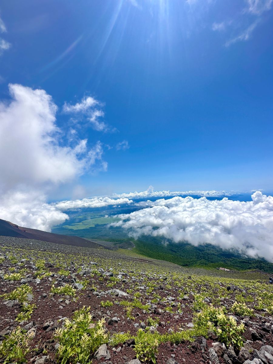 Climb Mt Fuji - Day Hike