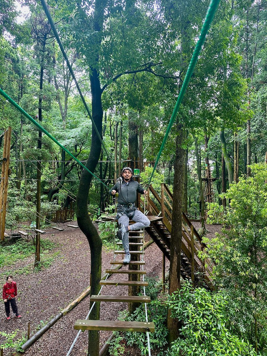 Forest Zipline Adventure