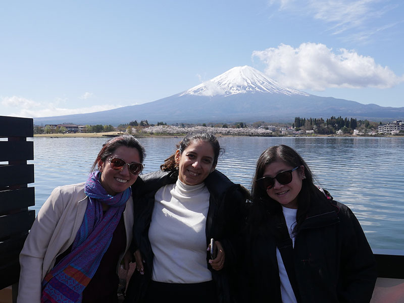 Fuji Lakes & Wineries