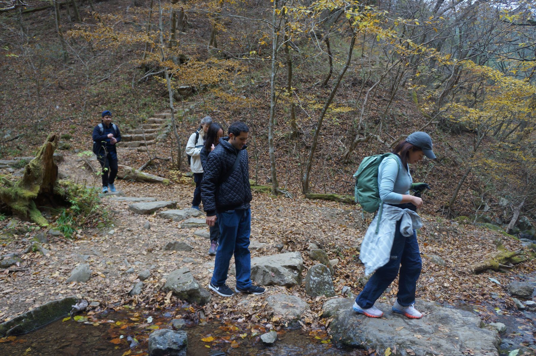 Mt Mitake Autumn Hike