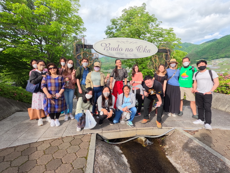 Fuji Shibazakura Festival
